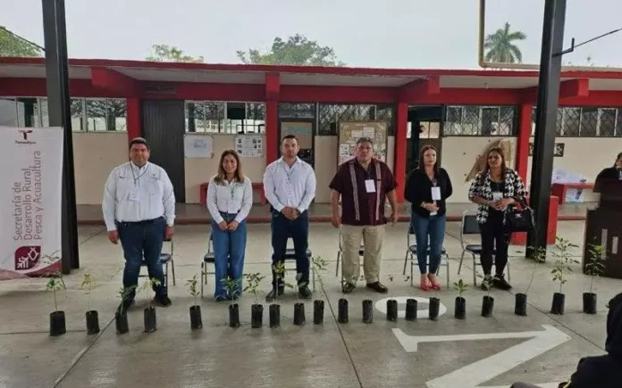 SRU-030-2026.-Impulsan-en-Tamaulipas-cultura-forestal-desde-las-aulas-2-800x500