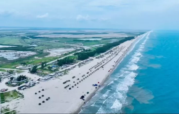 Screenshot_20260223_120513_Drive