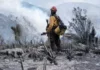 Tamaulipas logra la liquidación total del incendio forestal en Bustamante