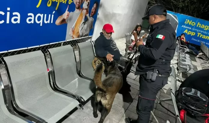 SSP-071-2026.-Realiza-Agrupamiento-Canino-de-la-Guardia-Estatal-operativo-para-detectar-narcoticos-en-Central-de-Autobuses-6-850x500
