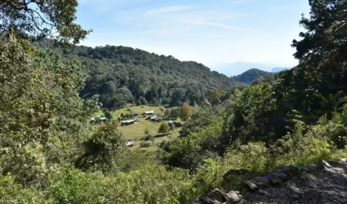 STU-062-2026.-Vota-por-Tamaulipas-en-lospremios-Lo-Mejor-de-Mexico-4-850x500