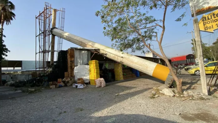 WhatsApp Image 2026-03-16 at 9.13.18 AM