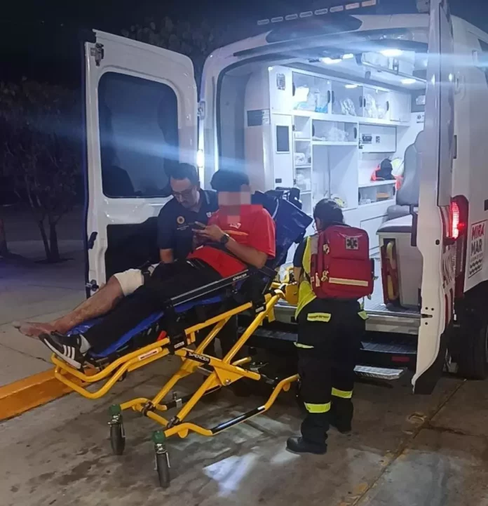 335ae707-c4f4-43d2-97c4-307e4aa61149