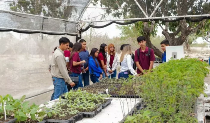 ITS-005-2026.-Acerca-Tecnologico-de-El-Mante-su-oferta-educativa-a-estudiantes-del-CBTA-y-COBAT-3-850x500