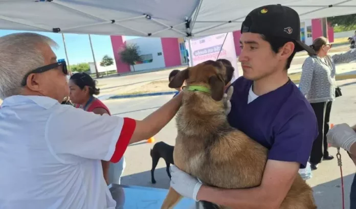 SST-064-2026.-Refuerza-Salud-campana-de-vacunacion-antirrabica-para-perros-y-gatos-en-todo-el-estado-2-850x500